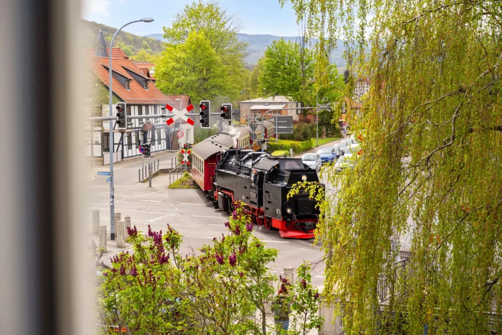 View of the steam railway