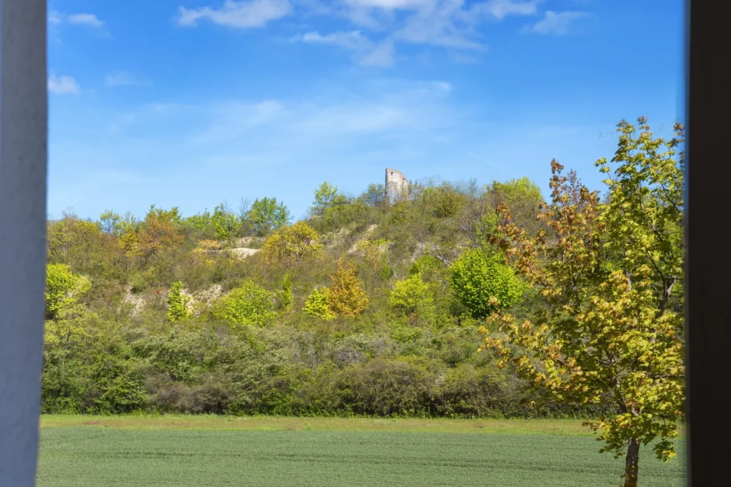 View of the surroundings